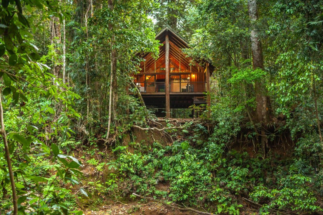 The Canopy Rainforest Treehouses & Wildlife Sanctuary Tarzali Extérieur photo