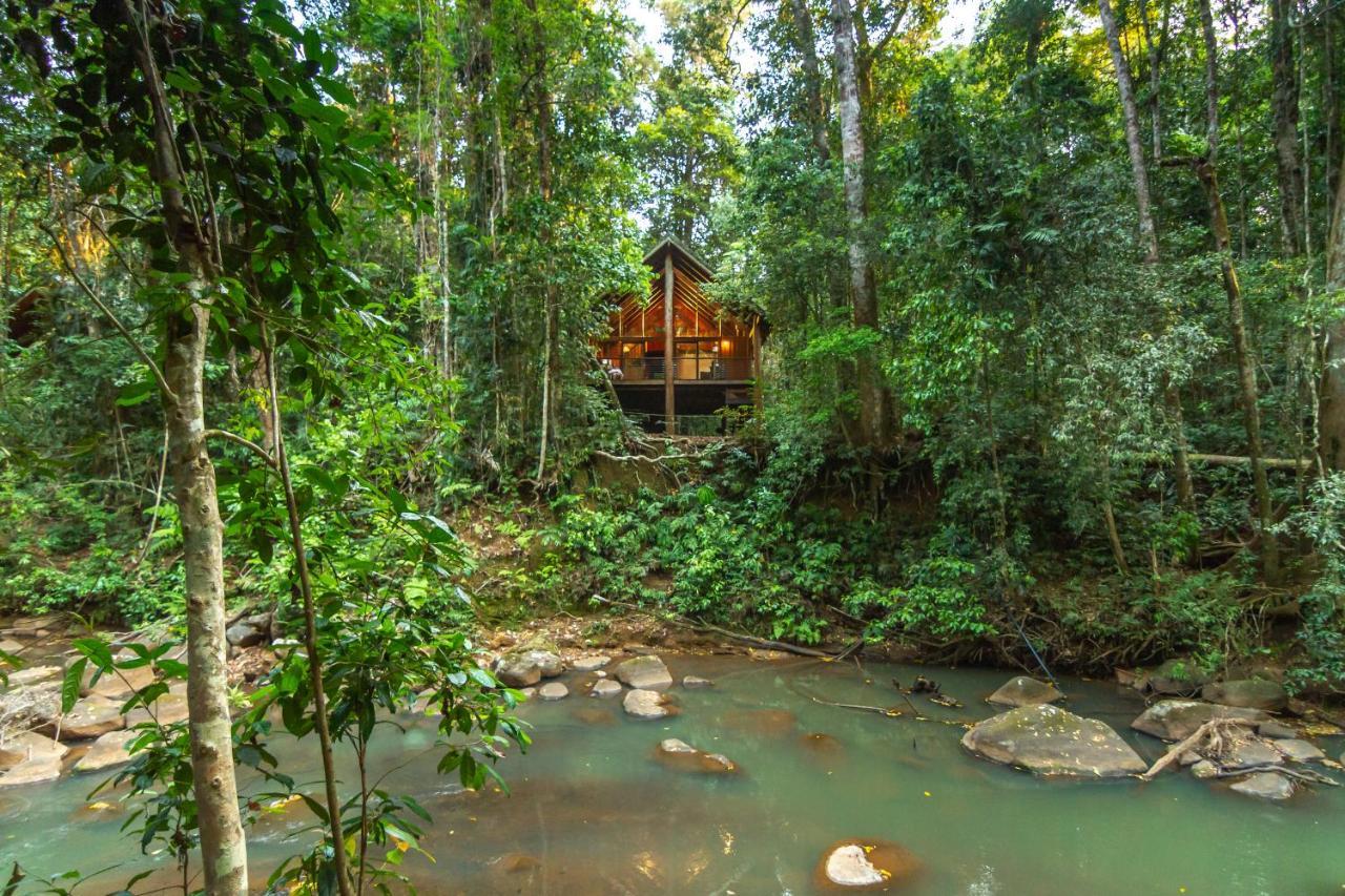 The Canopy Rainforest Treehouses & Wildlife Sanctuary Tarzali Extérieur photo
